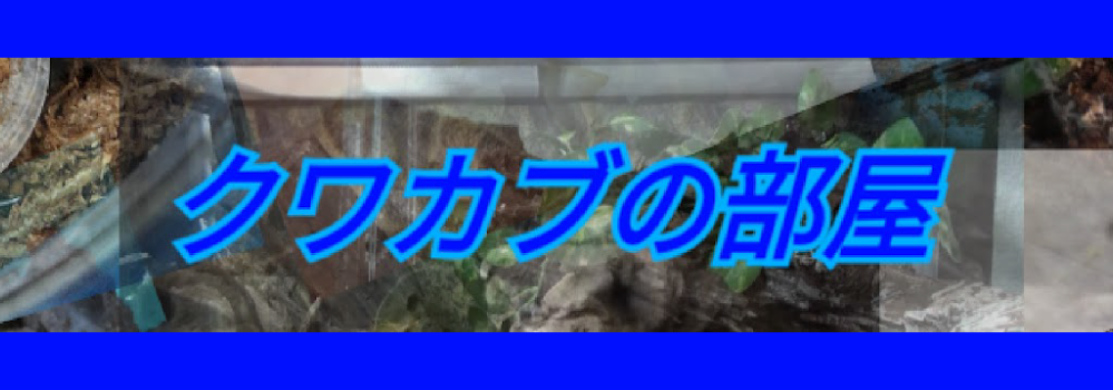 クワカブの部屋